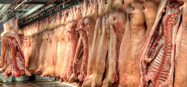 Ein- und Auslagerung mit Meat Management