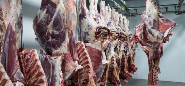 Classified Procurement für die Fleischindustrie 2/3