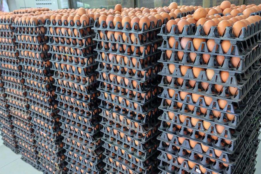 Egg sorting